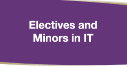 Electives and Minors in IT