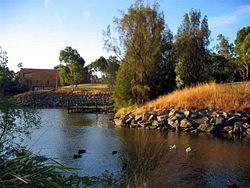 Monash University Clayton campus